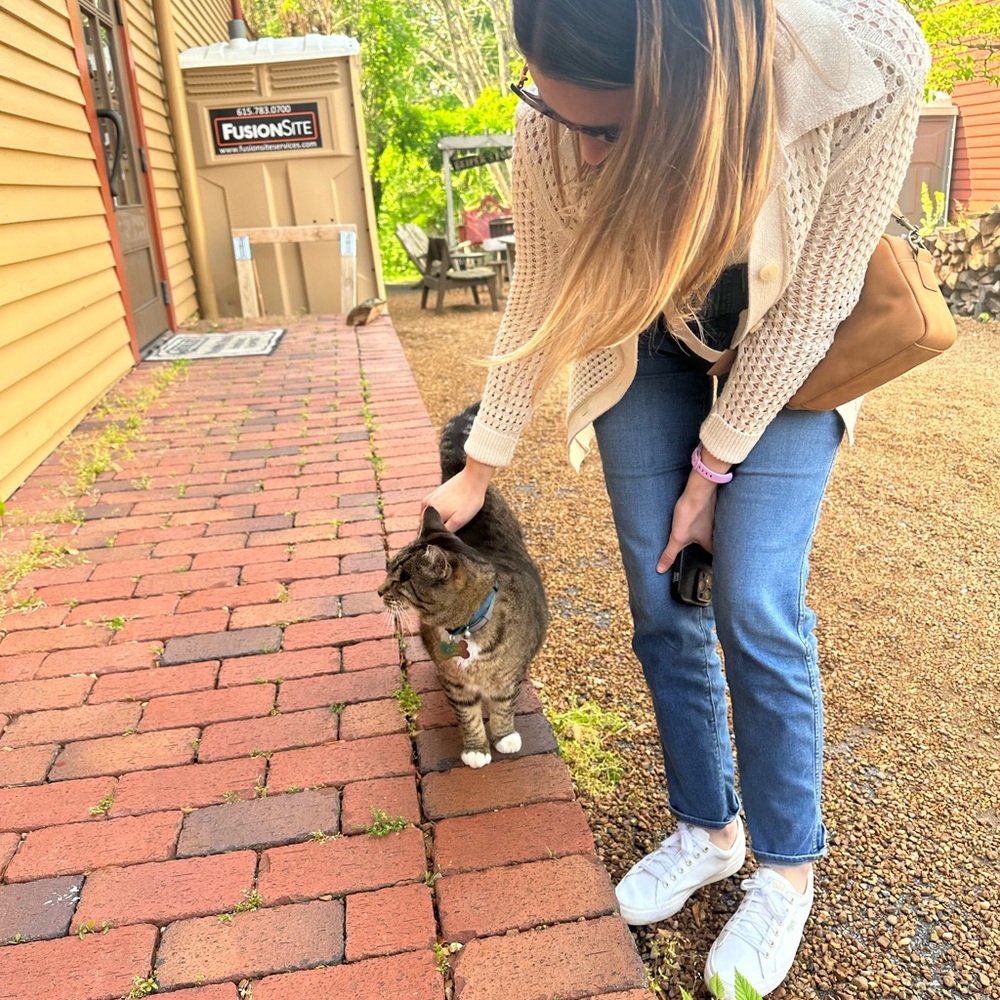 Meet your Posher, Kristen - Picture 7 of 13